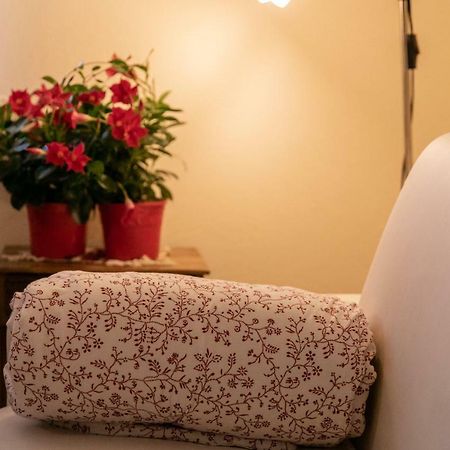 شقة La Casa In Collina ألبا المظهر الخارجي الصورة