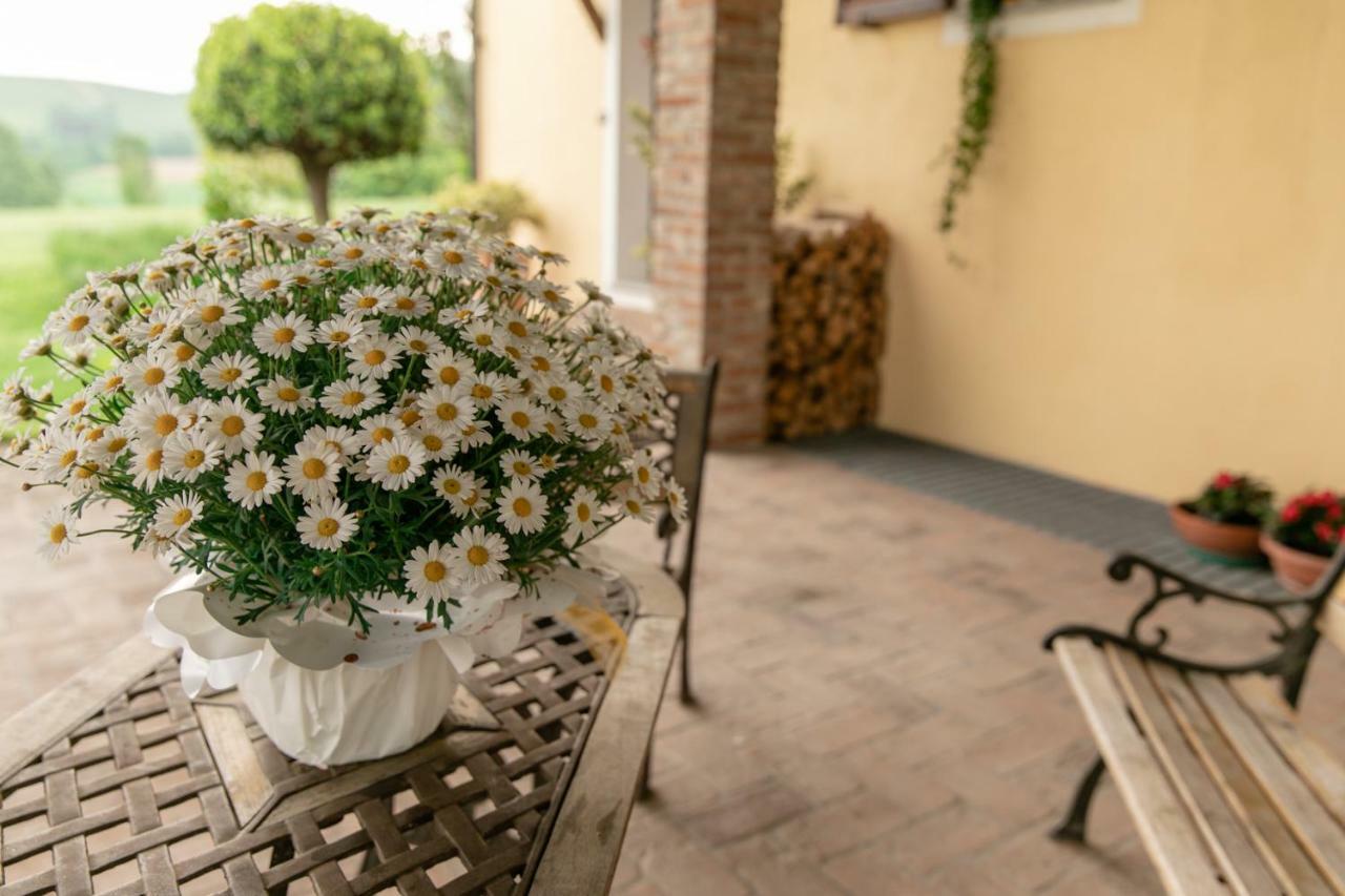 شقة La Casa In Collina ألبا المظهر الخارجي الصورة